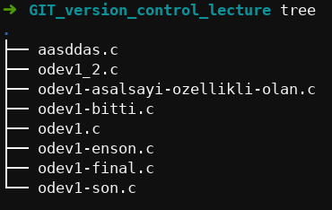 version_kontrol_sistemi